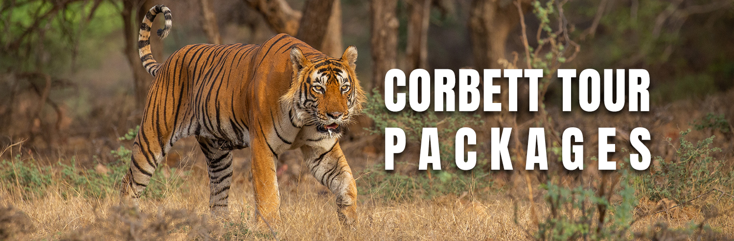 Corbett Tour Packages