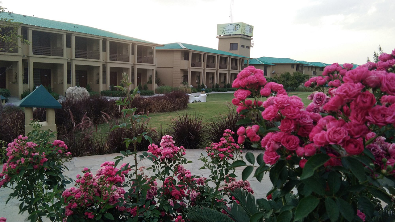 The Baagh Resort & Spa