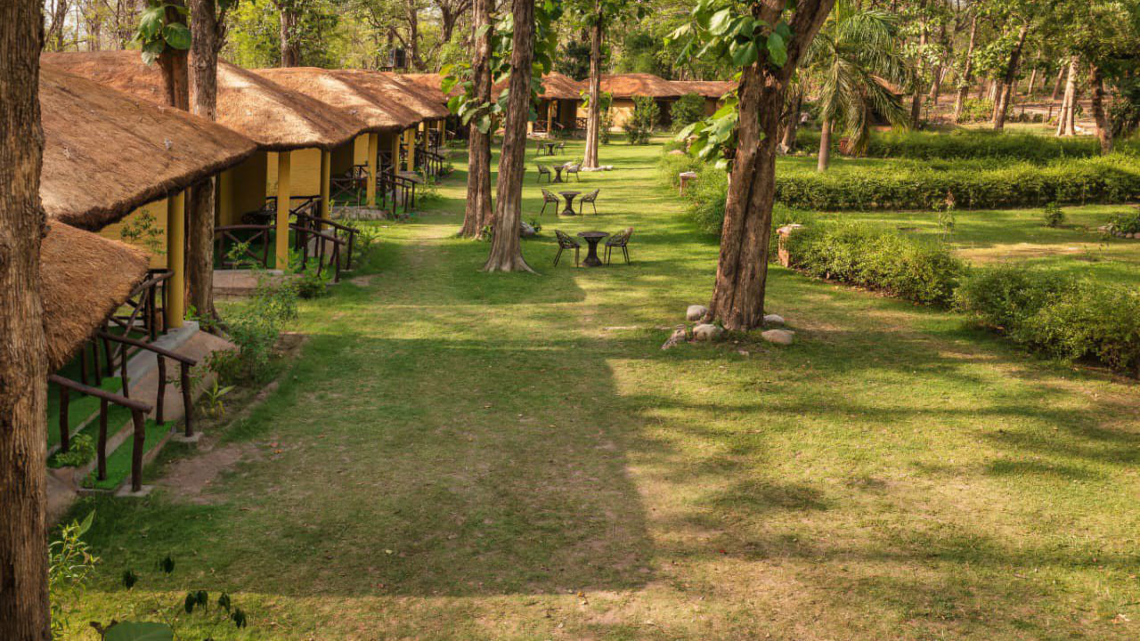 Bijrani Jungle Cottages