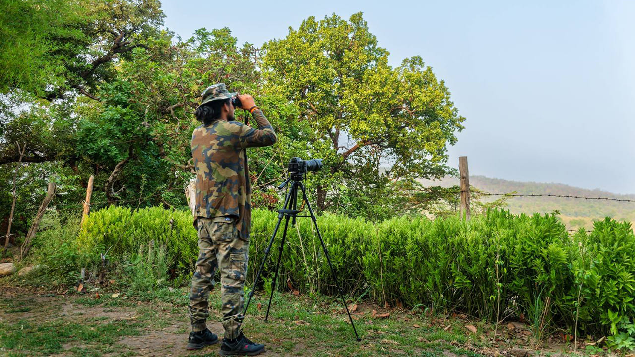 Bijrani Jungle Cottages